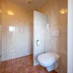 De Leeuwerik Vakantiehuis De Koog (Texel)