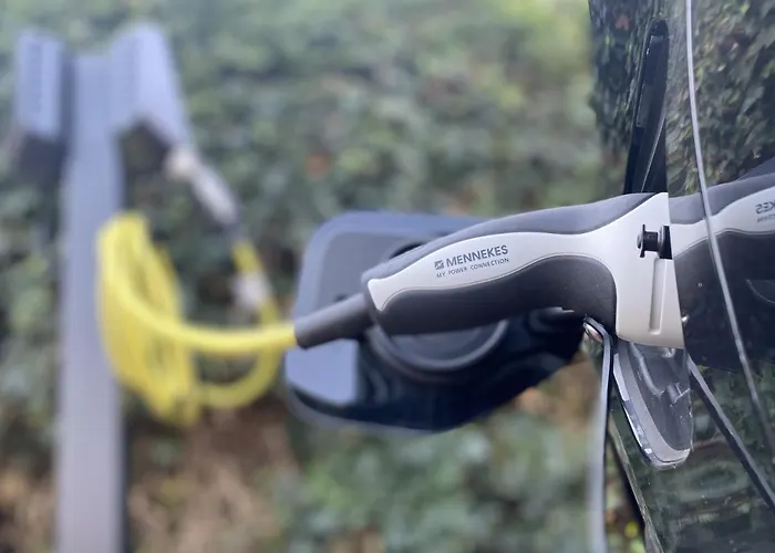 De Leeuwerik Де-Коог